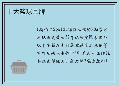 十大篮球品牌
